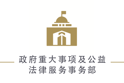 政府重大事项及公益法律服务事务部